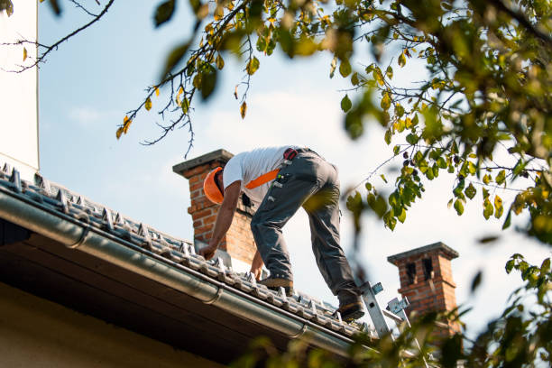 Best Residential Roofing Contractor  in Westville, IN