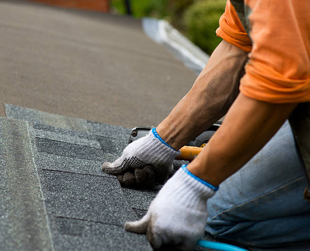 Best Storm Damage Roof Repair  in Westville, IN
