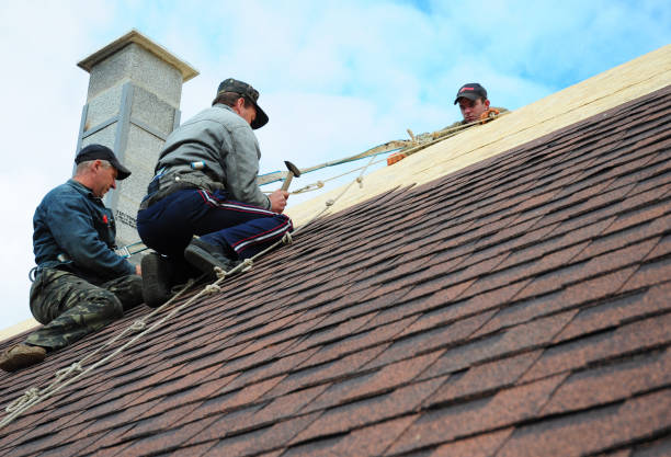 Best Gutter Installation and Roofing  in Westville, IN