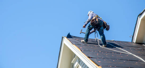 Best Best Roofing Contractors  in Westville, IN